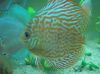 DSC05475.JPG